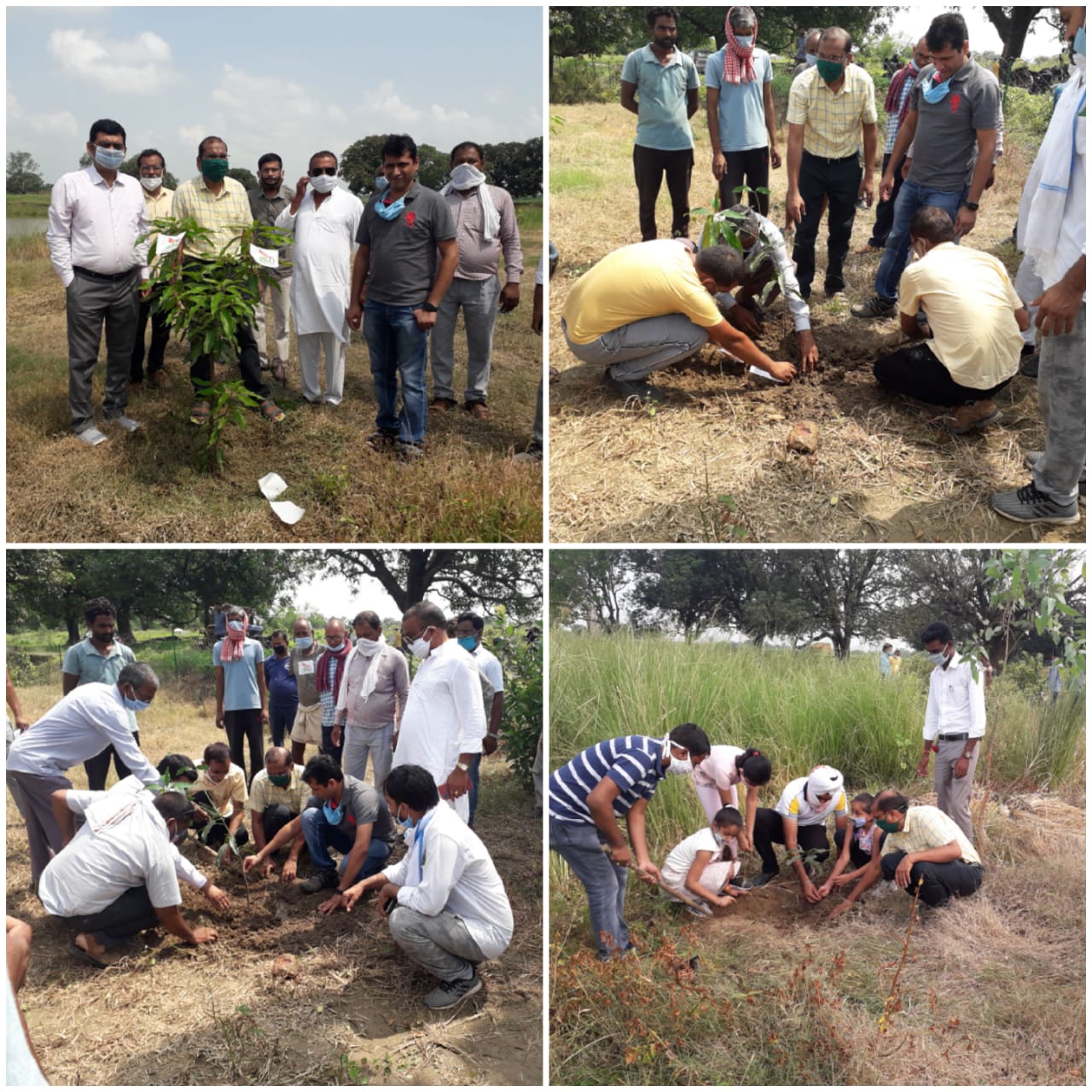 पर्यावरण के प्रति लोगो मे जागरूकता लाने ग्राम  बुढवा में फलदार पौधों का रोपण किया गया