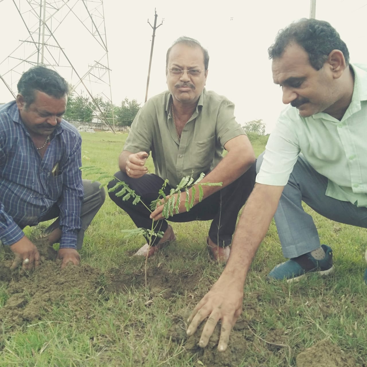 फलदार सहित औषधि पौधों का किया गया रोपण